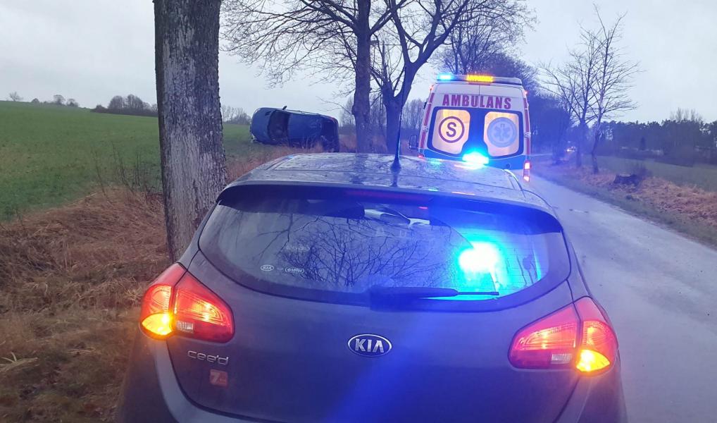 Dachowanie pod Białogardem