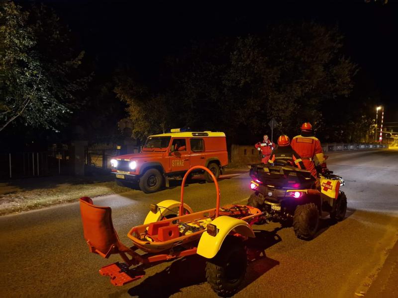 Poszukiwania dwójki Dzieci