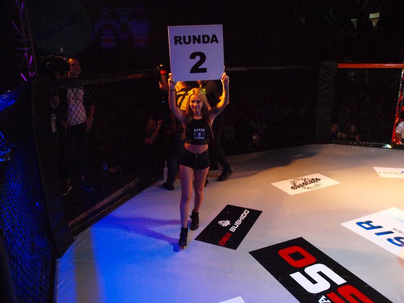 Gala Sportów Walki Runda 8 - obszerna fotorelacja !