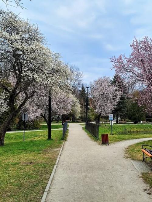 Zielony Białogard zaprasza na weekendowe spacery 