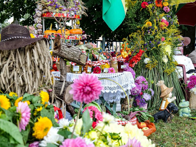 Okręgowe dożynki Ogrodów Działkowych w Białogardzie