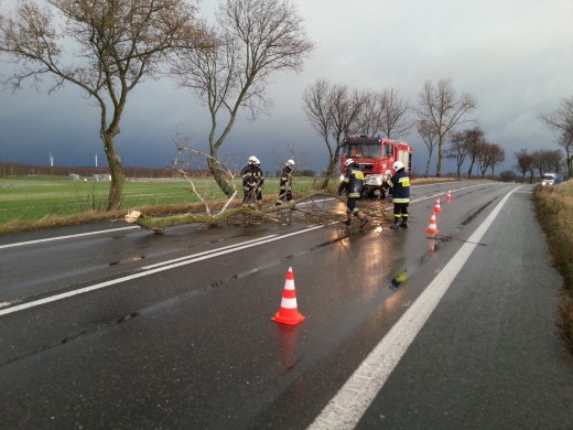 NOWE ZDJĘCIA - Huragan Ksawery nad Białogardem 