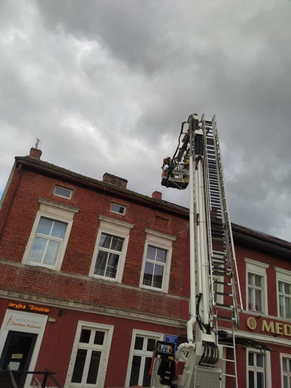 O psie, który chodził po dachu