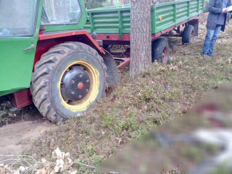 Tragiczny wypadek w lesie pod Tychowem – mężczyzna poniósł śmierć na miejscu.