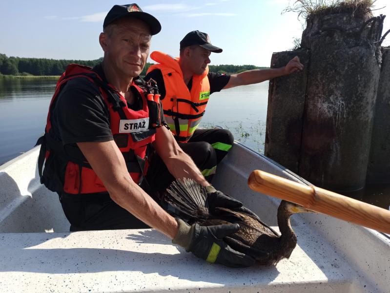 Nietypowa akcja Strażaków