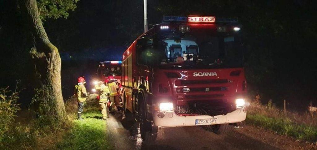 Wypadek pomiędzy Klępinem a Dargikowem
