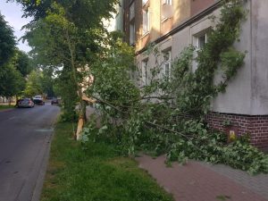 Pijany kierowca uciekał z miejsca zdarzenia  – trafił do policyjnego aresztu!