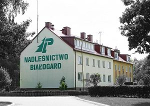 Nadleśnictwo Białogardzie