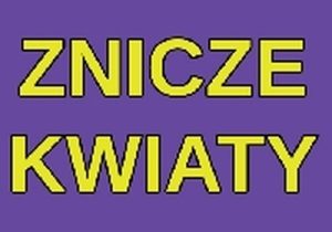 — Znicze — — Kwiaty —